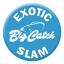 Exotic Slam
